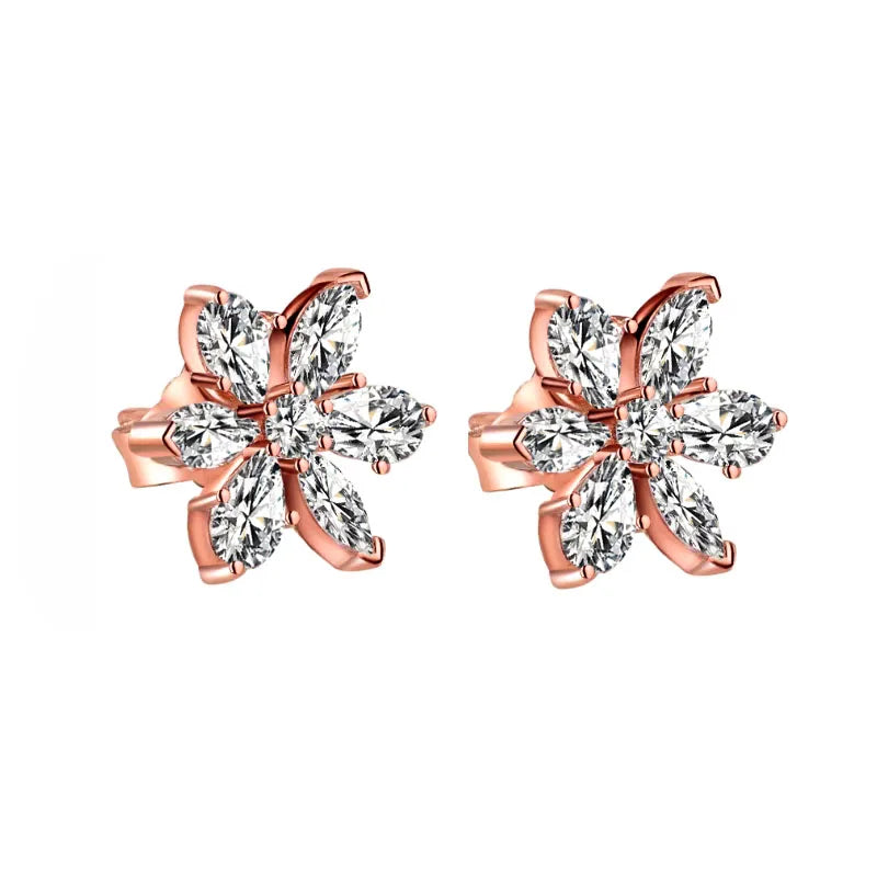 Sfce8bd58120946f4917288ed78e86123y